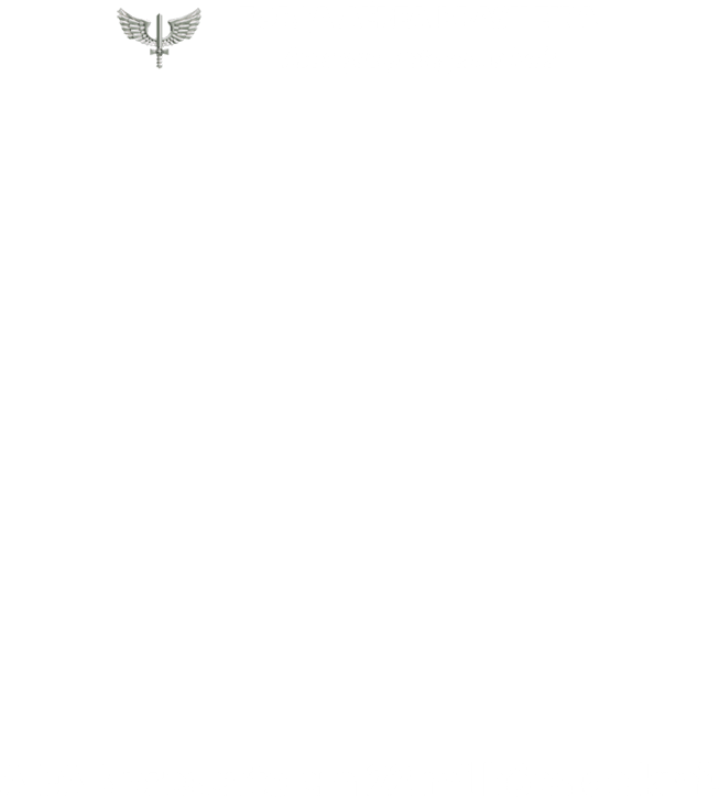 Força Aérea Brasileira – Dimensão 22