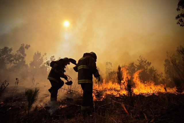 Bombeiros trabalham no combate a um incêndio florestal em Hualañe, uma comunidade em Concepcion, no Chile, em 26 de janeiro (Foto: Alejandro Zoñez/Aton/via AP)