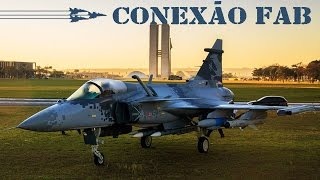 Segundo o Centro de Investigação e Prevenção de Acidentes Aeronáuticos (CENIPA) esse tipo de ocorrência sobe 75% no mês de junho