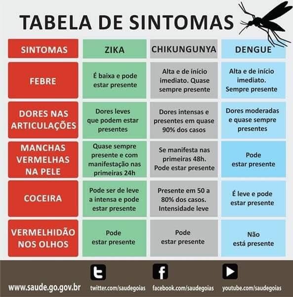 Veja como você pode ajudar a combater o mosquito - Força Aérea Brasileira
