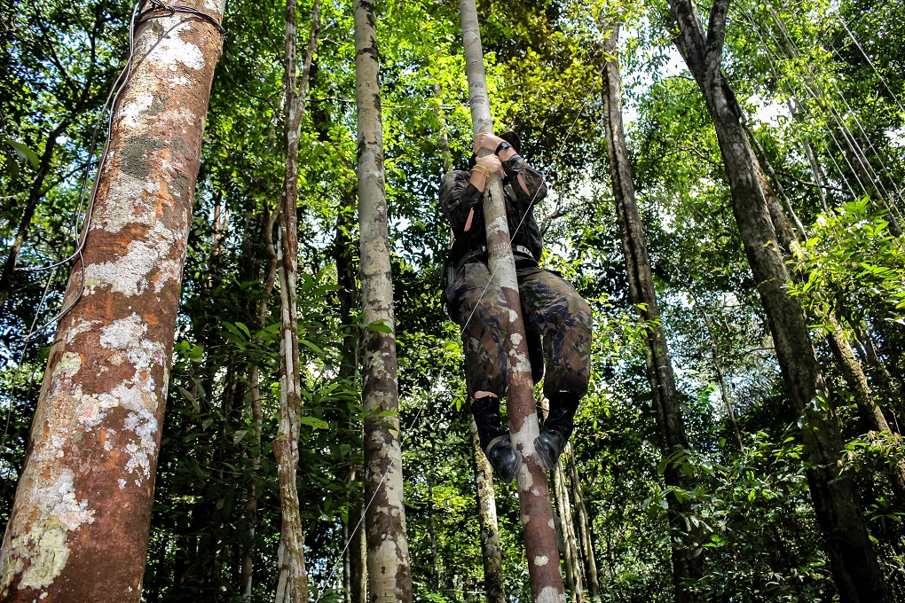 Sobrevivência na Amazônia