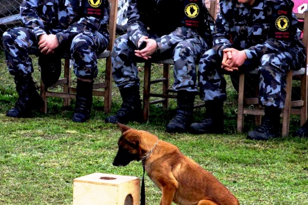 Evento reuniu Exército, Força Aérea e policias do Rio Grande do Sul