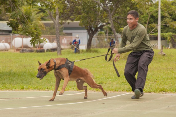 O objetivo é combater o tráfico de drogas e realizar atividades de segurança