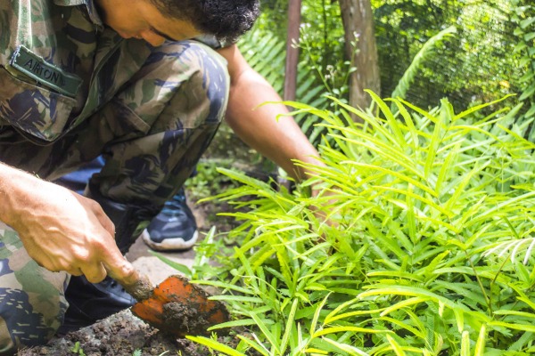 Efetivo realizou curso de noções básicas de produção de solos, preparação de mudas e plantio de árvores