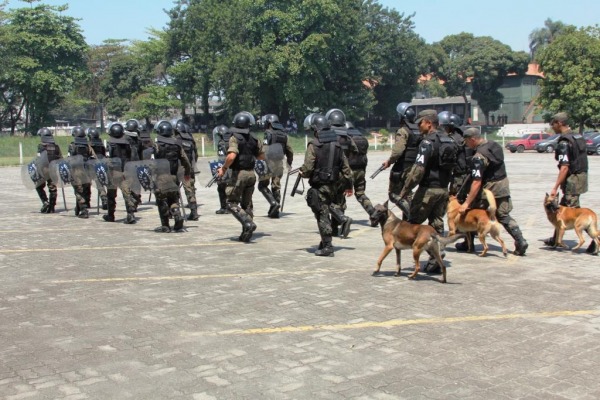 Cães realizam operações junto ao Pelotão de Choque  S2 P. Santos