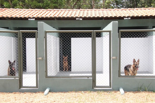 Canil tem boxes mais confortáveis para os cães  Sargento Carleilson