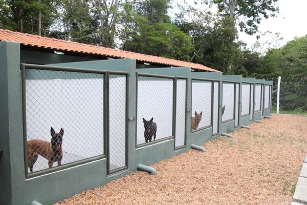 Canil tem boxes mais confortáveis para os cães  Sargento Carleilson