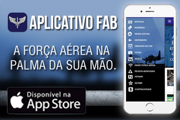 Alguns menus do app podem ser acessados offline