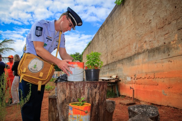 Somente no DF e em GO, mais de 1200 militares da FAB participaram da ação