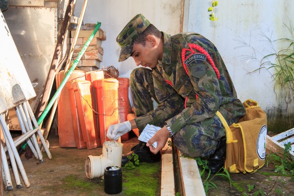 Em Vicente Pires, no DF, militares encontraram vários possíveis focos do mosquito em residências