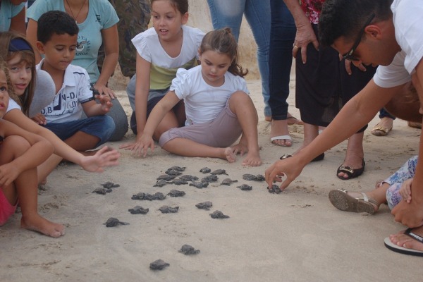 Projeto Tamar celebra 25 milhões de tartarugas soltas em 35 anos