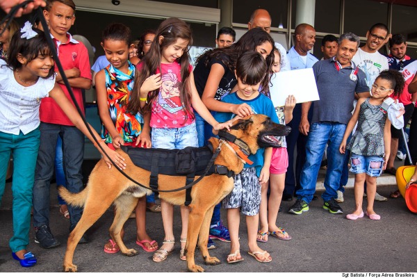 Volverine e Chacal, são os nomes dos dois cães que participaram da demonstração