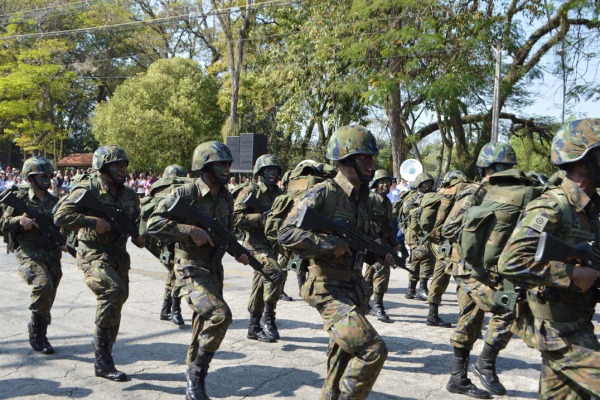 Em todas as regiões do País os militares da FAB celebraram o Dia da Independência