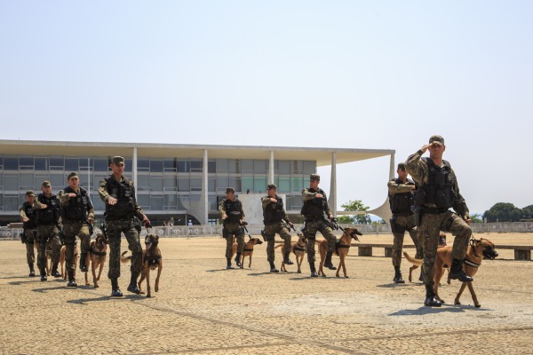 Pelotão de Cães de Guerra do Grupo de Segurança e Defesa da Ala 1