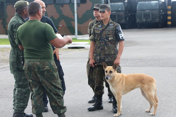 Os cães ficaram na terceira e quarta colocação