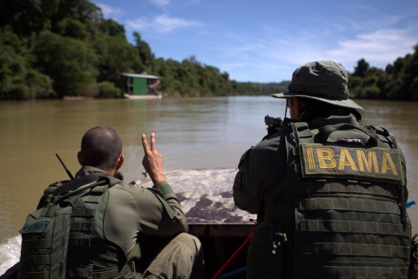 Servidores do Ibama em atuação / Felipe Werneck