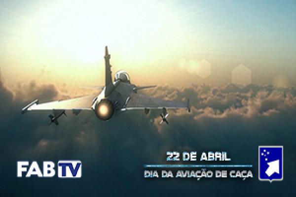 Material relembra a história do Primeiro Grupo de Aviação de Caça (1º GAVCA), o Esquadrão Jambock, na Segunda Guerra Mundial