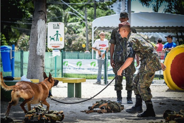 Animais demonstraram comandos básicos de disciplina, simulações de abordagem e busca por produtos ilícitos