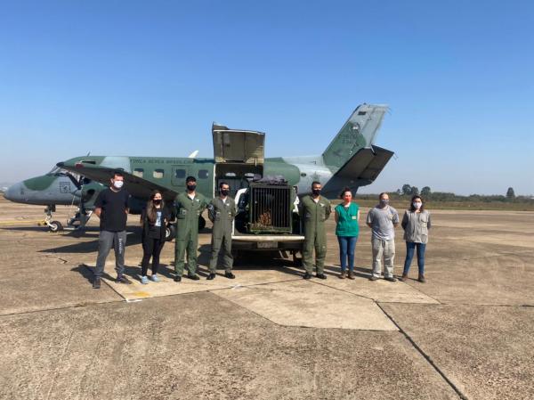 A aeronave decolou de Guarulhos na manhã deste sábado (24), e pousou à tarde, em Canoas