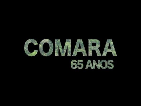 No inicio da década de 1950, existiam somente 17 aeródromos na Amazônia e hoje é possível contabilizar mais de 170 pistas