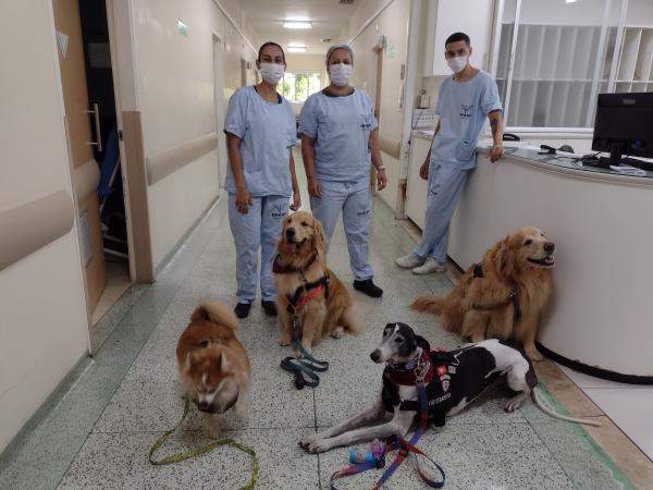 As visitas dos animais acontecerão uma vez por mês, com o objetivo de oferecer uma assistência mais humanizada.