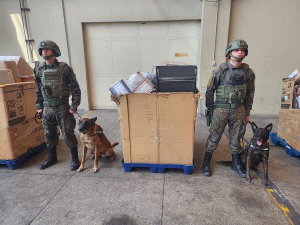 Cães de detecção foram utilizados em ação coordenada junto à Receita Federal