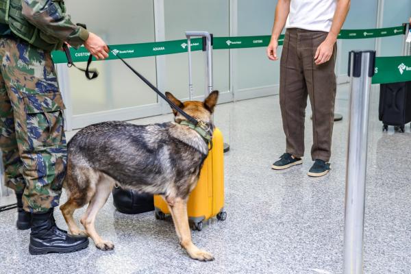 Ações interagências ocorrem nos aeroportos do Galeão (RJ) e de Guarulhos (SP) 