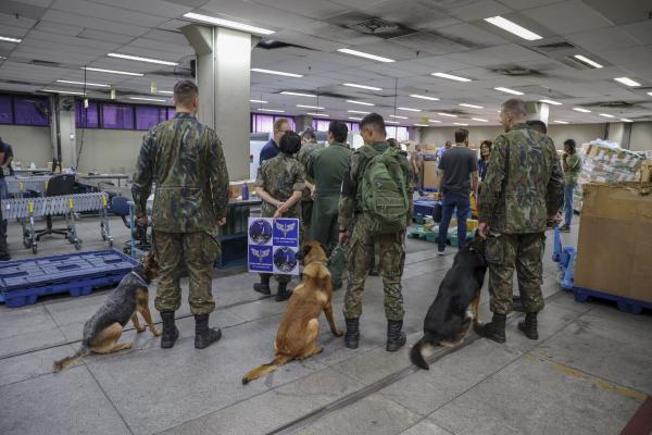 Mais de 336 quilos de drogas foram apreendidos e 48 pessoas detidas em ações nos aeroportos do Rio de Janeiro e de São Paulo