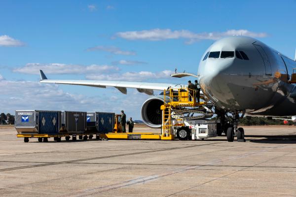 O transporte dos calçados foi realizado nesta quarta-feira (22/05), em uma aeronave KC-30